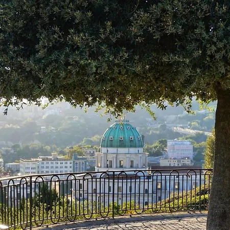 Flower's Naples
