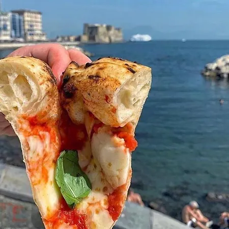 Flower's Naples